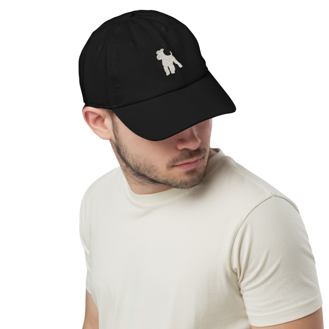 DimMoire ロゴ刺繍ダメージCAP【Black】 EMBROIDERY LOGO CAP - BLACK