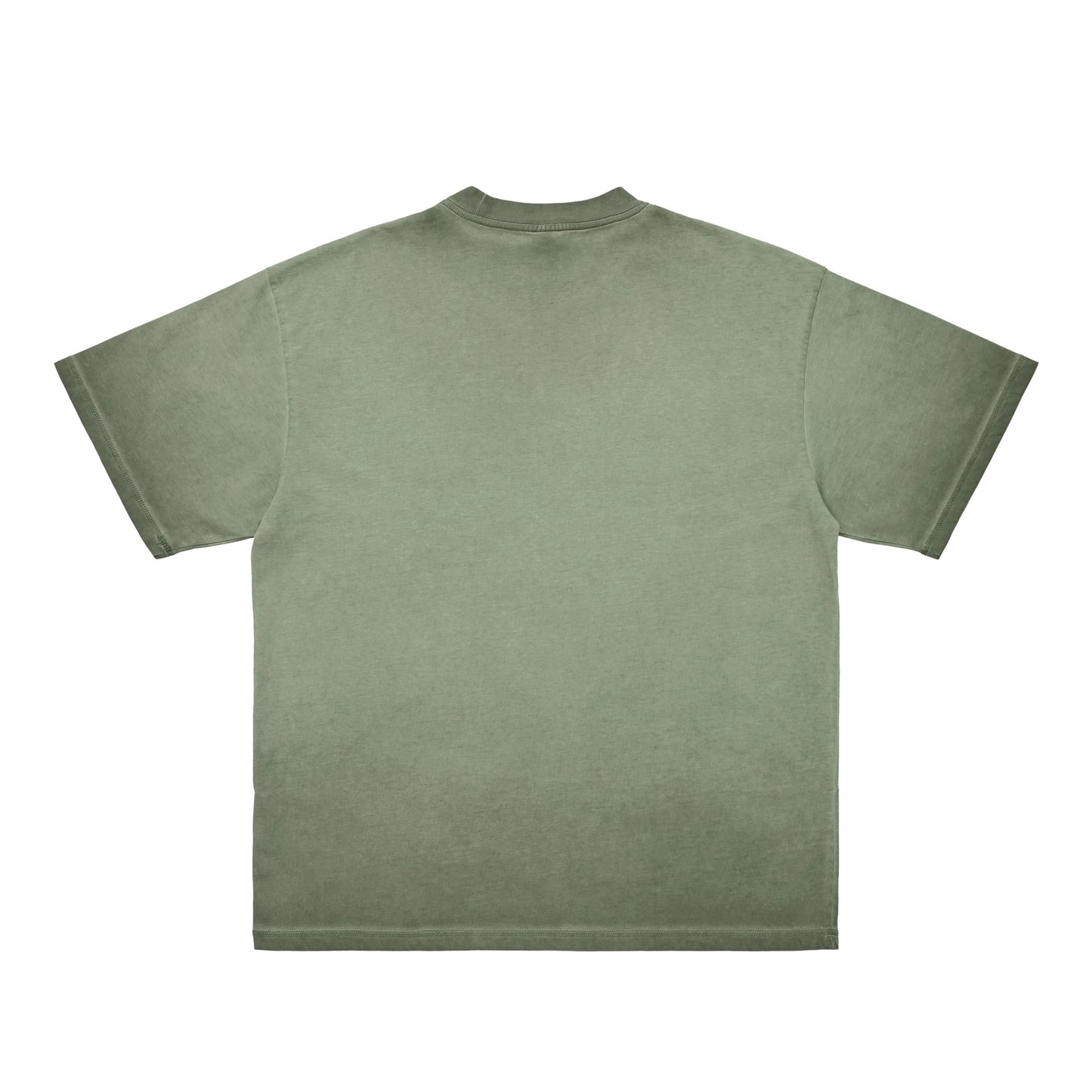 シュナウザーポイントロゴ刺繍ヴィンテージウォッシュTee green-gray image