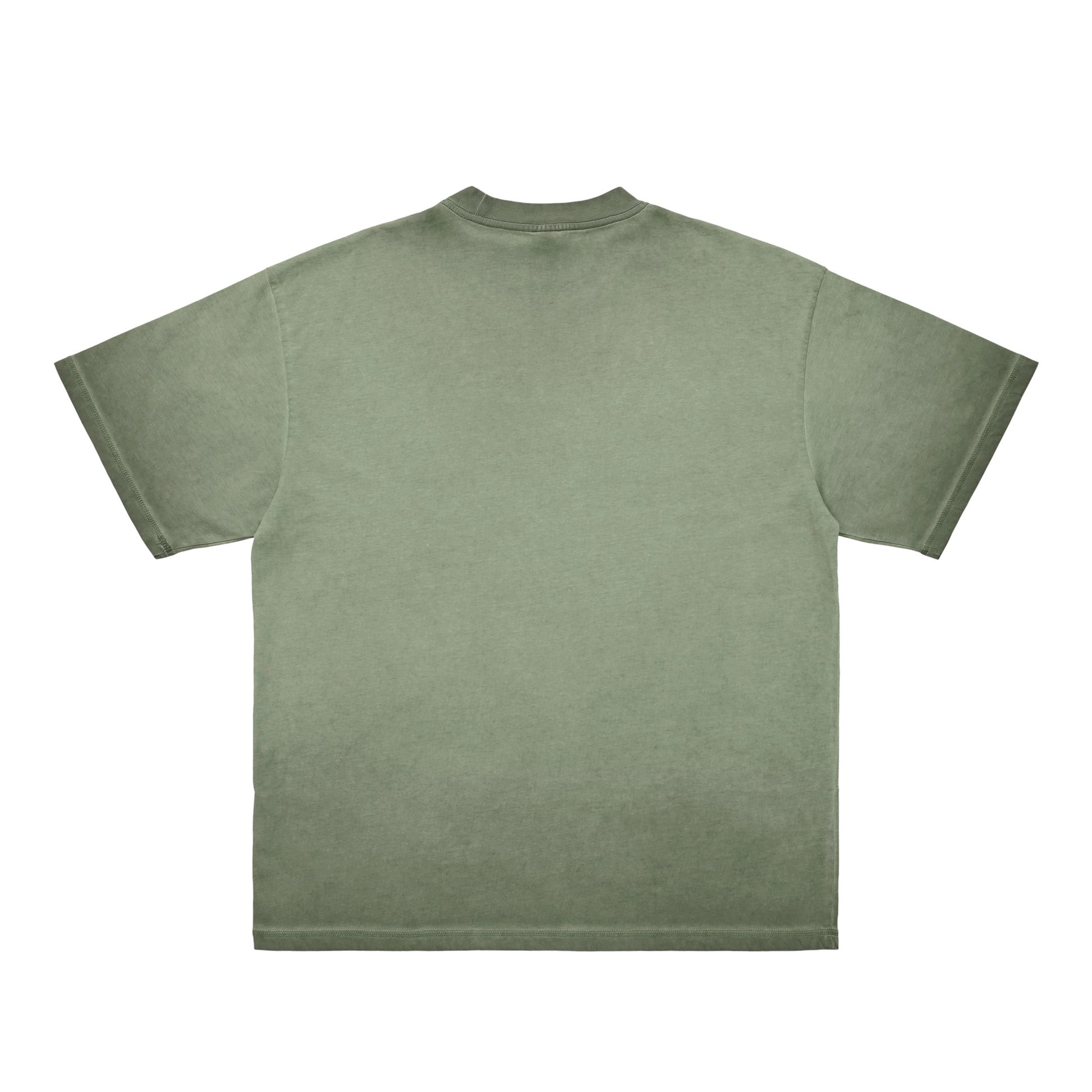 シュナウザーポイントロゴ刺繍ヴィンテージウォッシュTee green-gray image