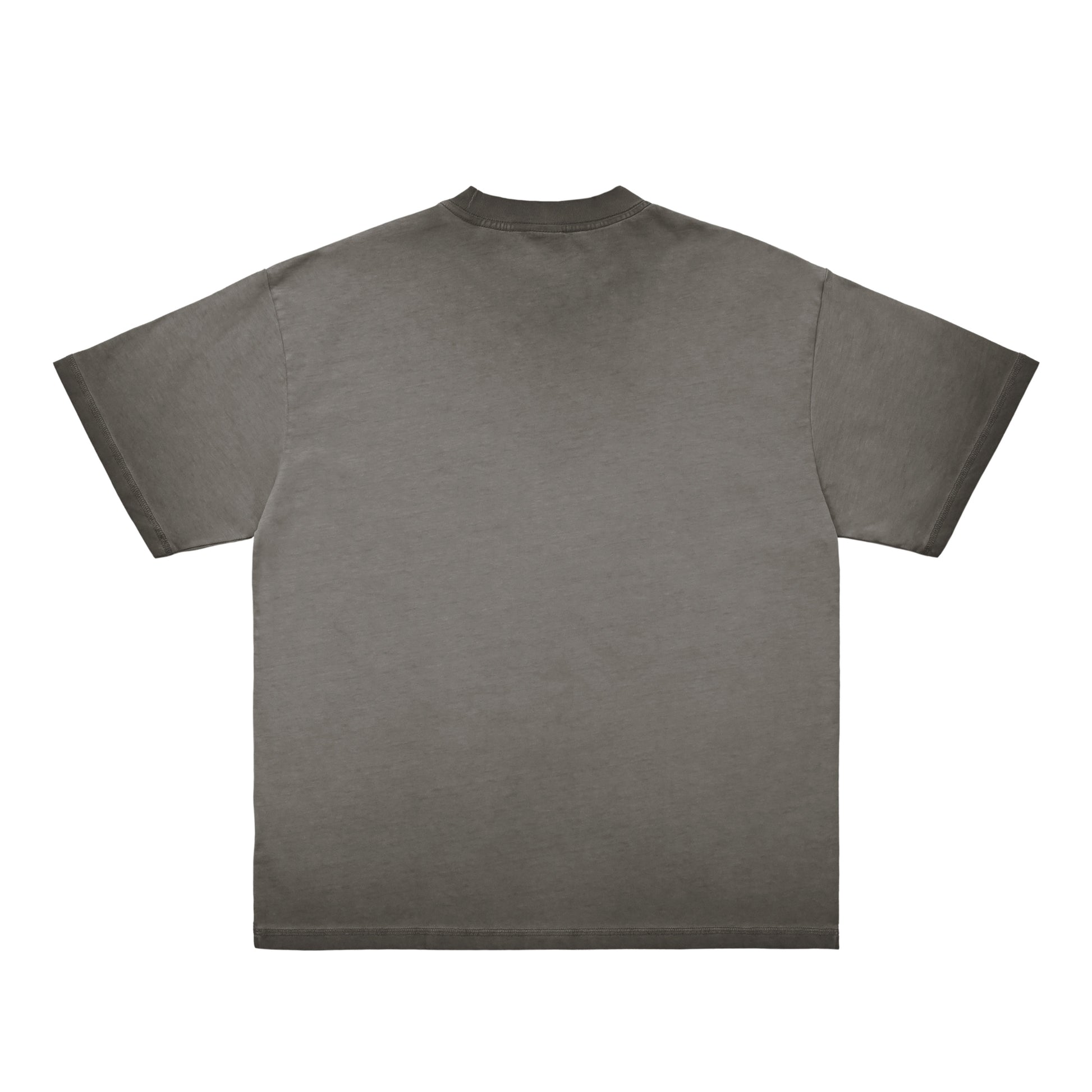 シュナウザーポイントロゴ刺繍ヴィンテージウォッシュTee gray image